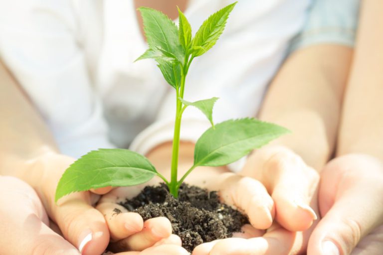 Planned Giving with a Donor-Advised Fund