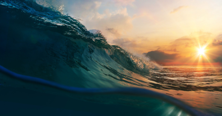 How to Roll Over Your Donor-Advised Fund