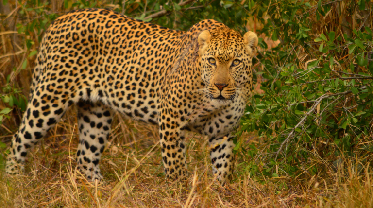 Is Your Charitable Potential Hiding in Plain Sight?